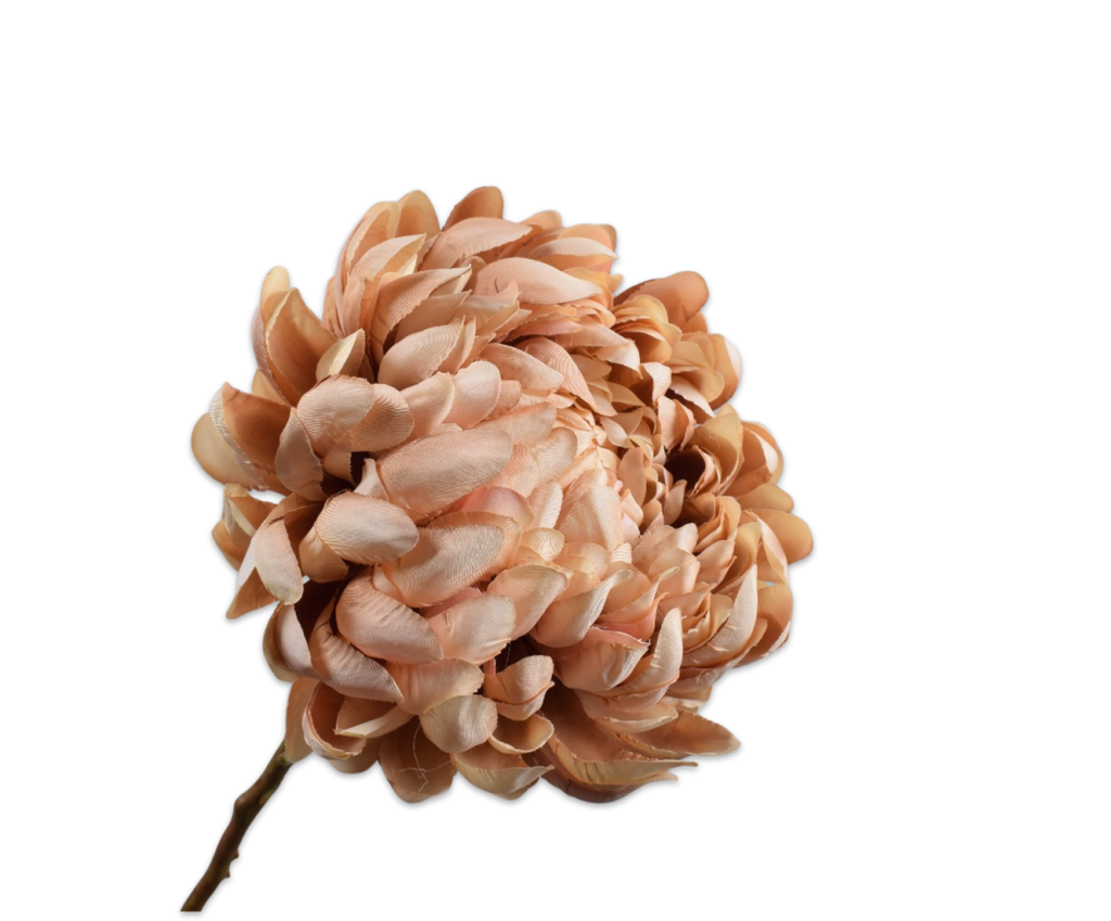 Chrysanthemum | Chrysanthème 64cm Brown