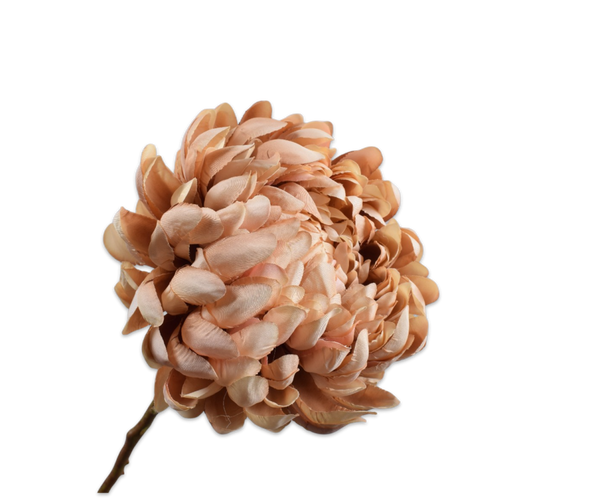 Chrysanthemum | Chrysanthème 64cm Brown
