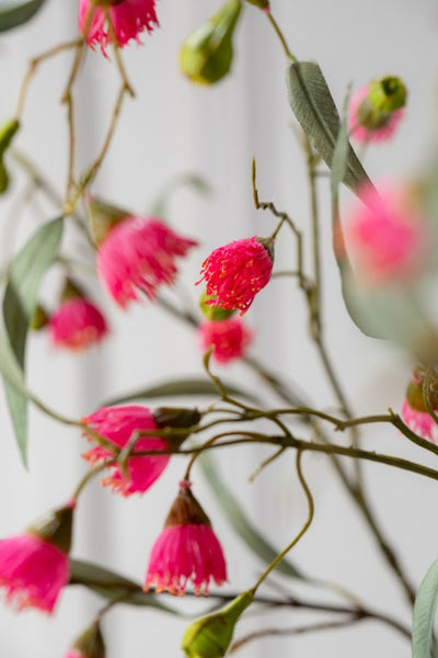 Eucalyptus 82cm Green Pink