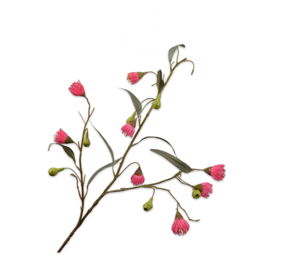 Eucalyptus 82cm Green Pink