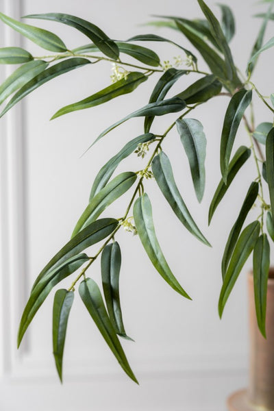 Eucalyptus 123cm Green