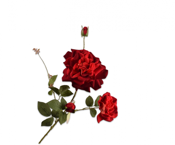 Rose 102cm Red