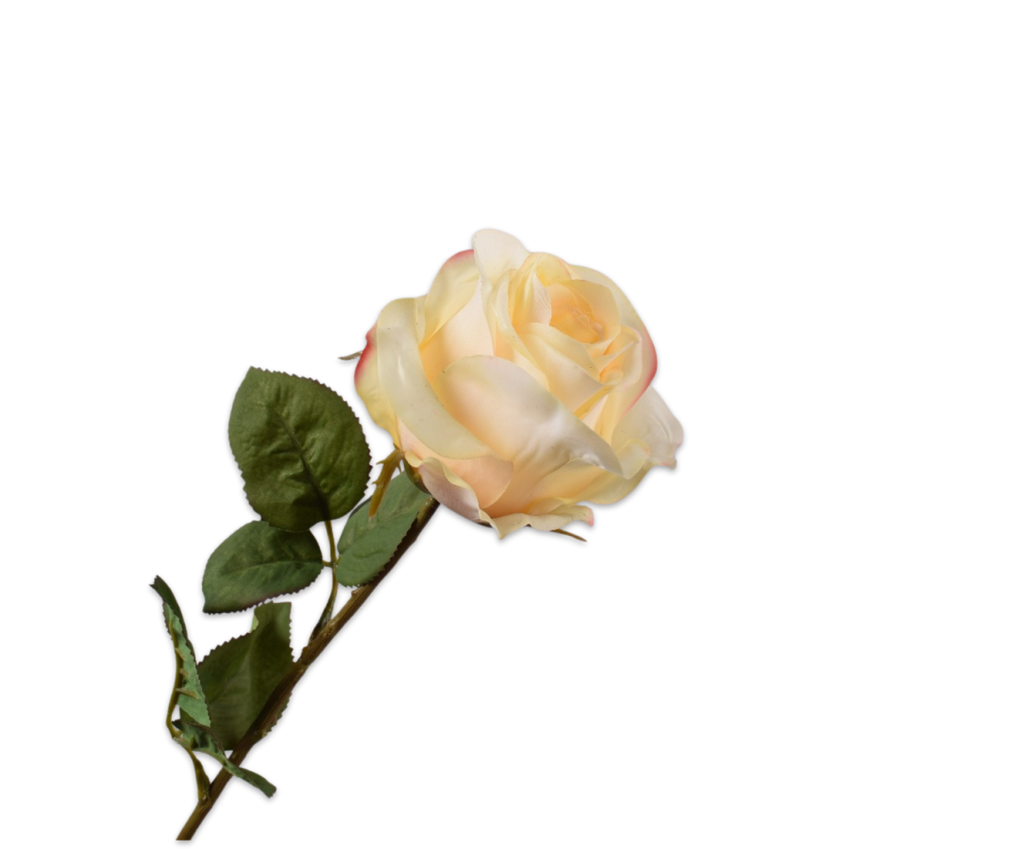 Rose 57cm RealTouch Yellow