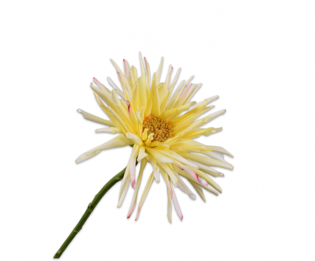 Gerbera 58cm Light Yellow