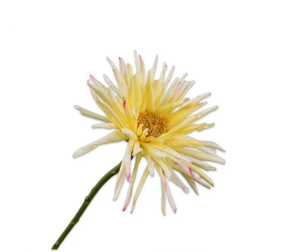 Gerbera 58cm Light Yellow