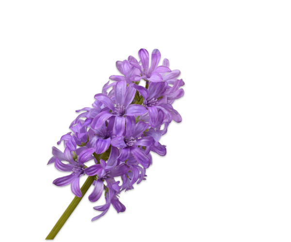 Hyacinth | Jacinthe 53cm RealTouch Lavender