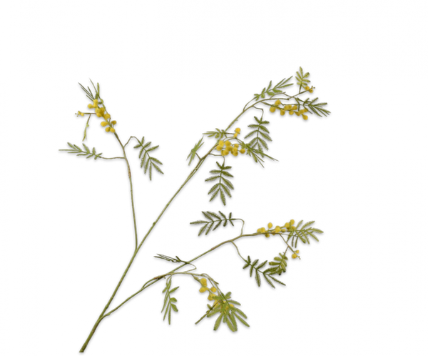 Mimosa 96cm Yellow