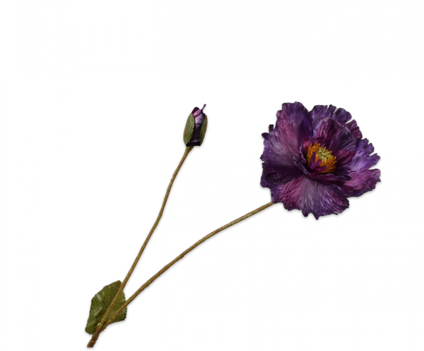 Poppy | Pavot 74cm Purple
