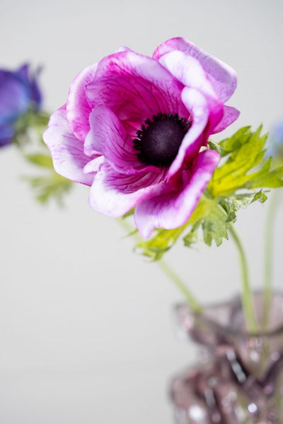 Anemone | Anémone 61cm Lavender