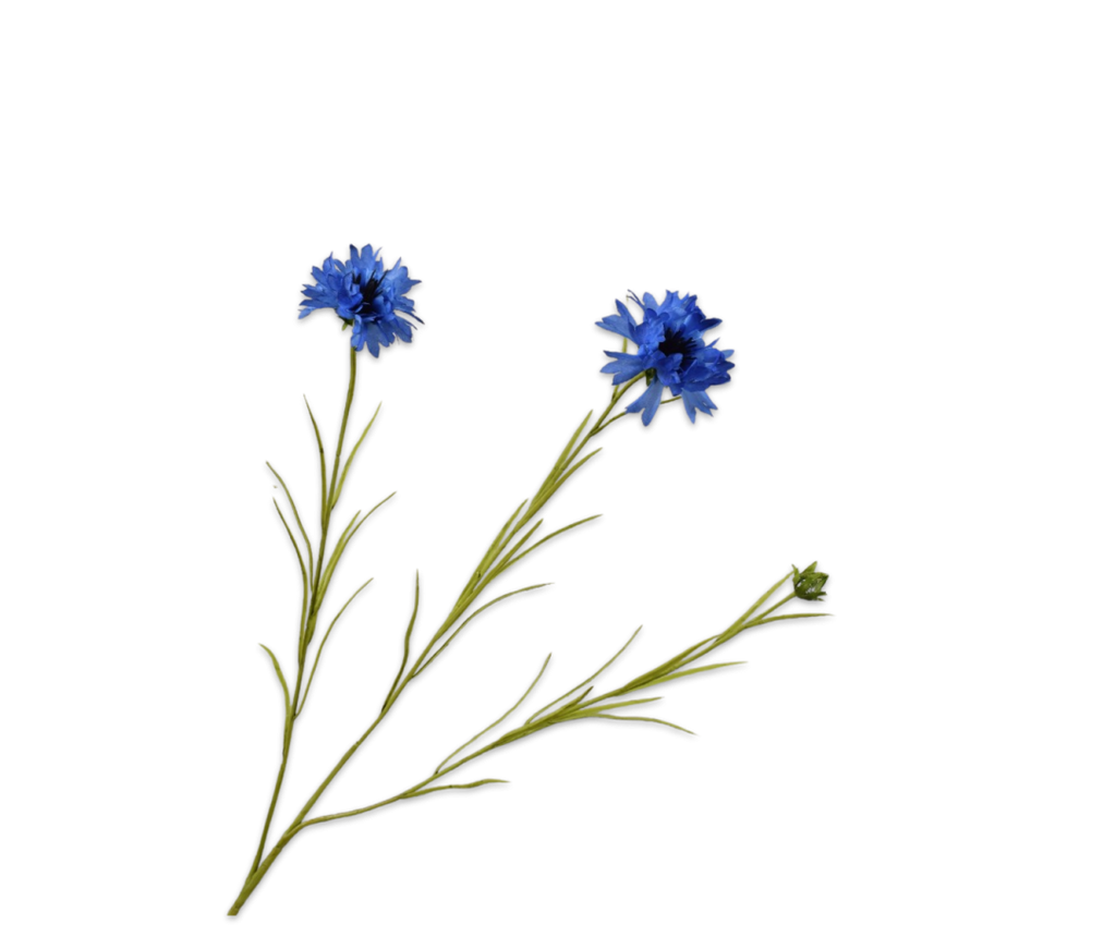 Cornflower | Bleuet 65cm Blue