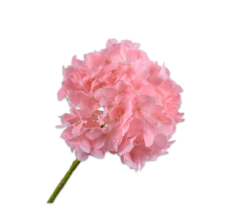 Hydrangea | Hortensia 64cm RealTouch Light Pink