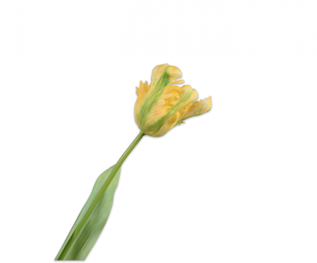 Tulip | Tulipe 61cm Yellow