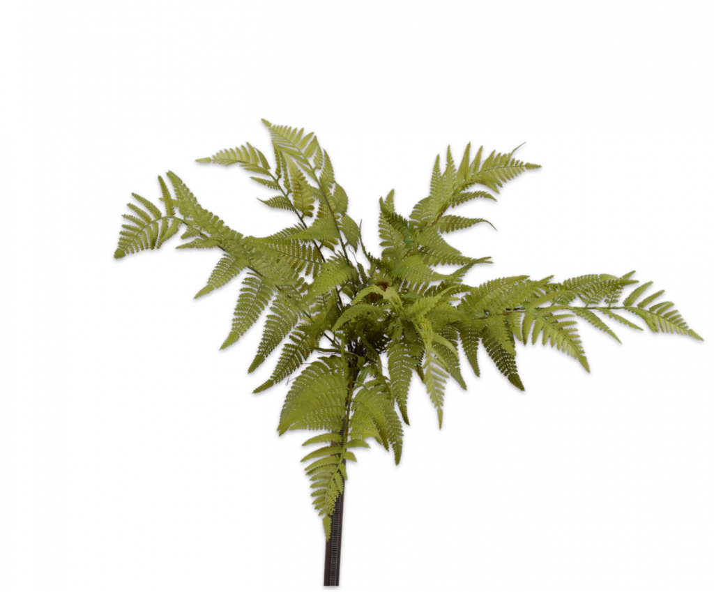 Fern | Fougère 46cm Green