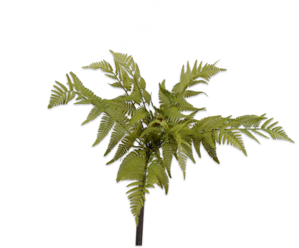 Fern | Fougère 46cm Green