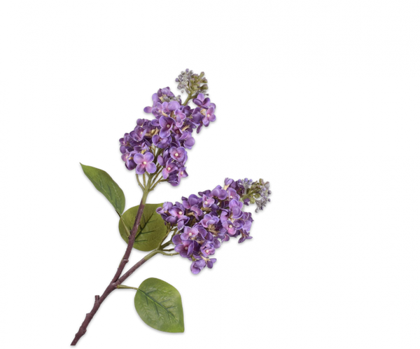 Lilac | Lilas 67cm Light Purple