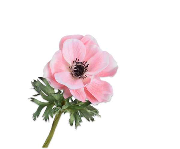 Anemone | Anémone 38cm Light Pink