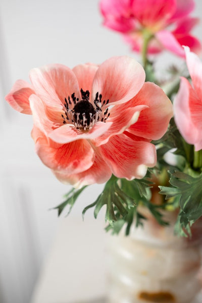 Anemone | Anémone 38cm Salmon