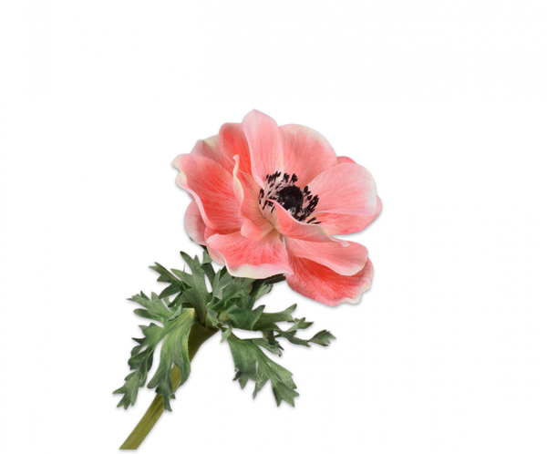 Anemone | Anémone 38cm Salmon