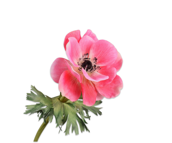 Anemone | Anémone 38cm Pink