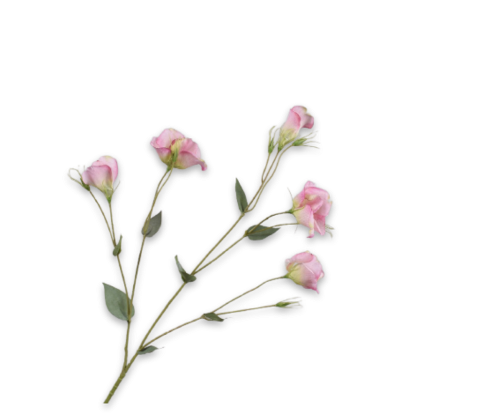 Lisianthus 84cm Pink