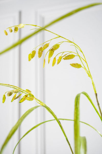 Grass | Herbe ramifiée 162cm Green