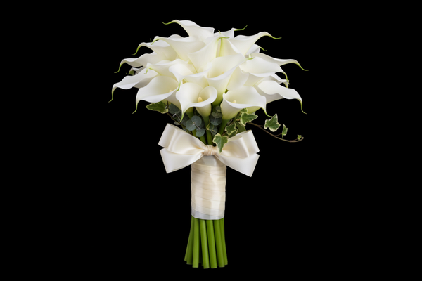 Calla Lily | Arum 65cm RealTouch White