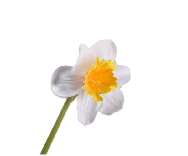 Daffodil | Narcissus 58cm White Yellow