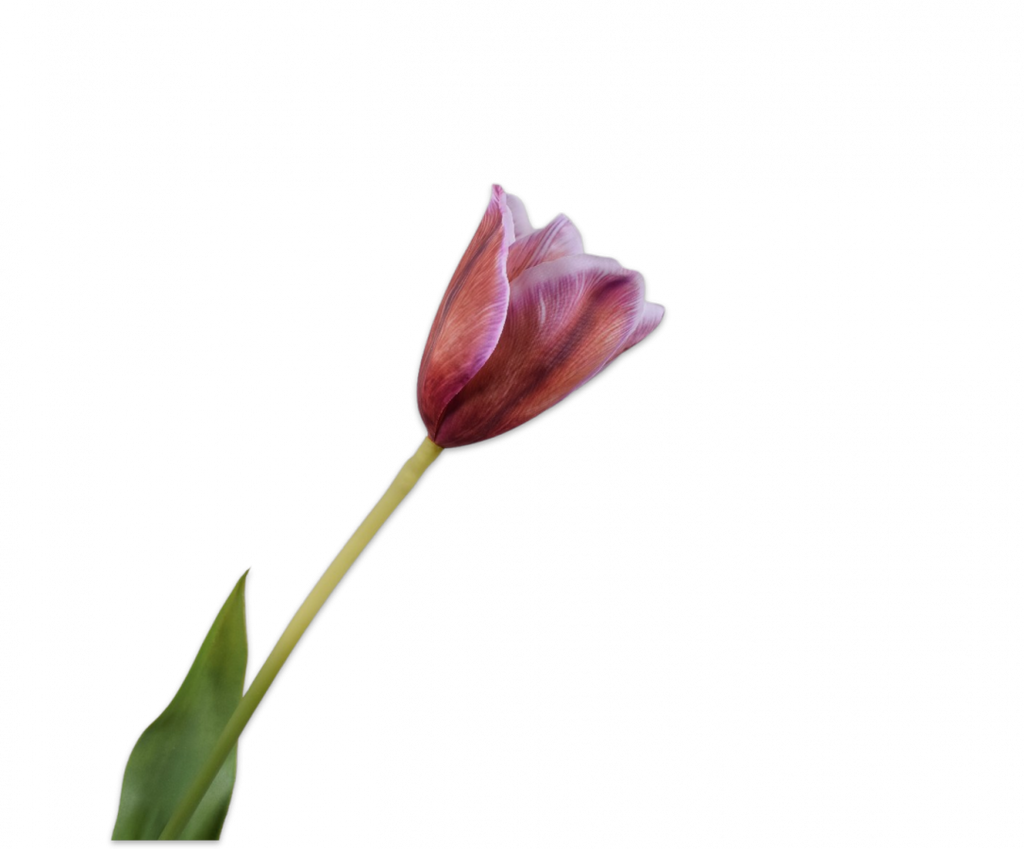 Tulip | Tulipe 72cm RealTouch Lavender