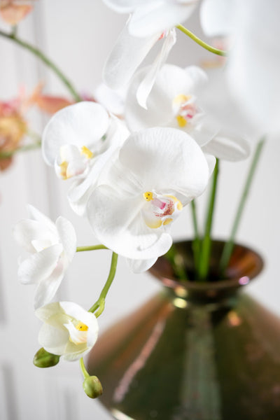 Orchid | Orchidée 110cm RealTouch White