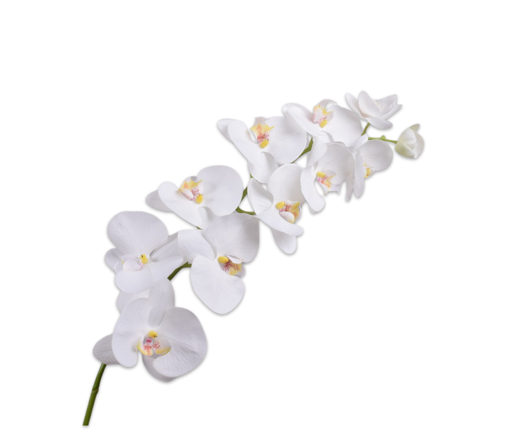 Orchid | Orchidée 110cm RealTouch White