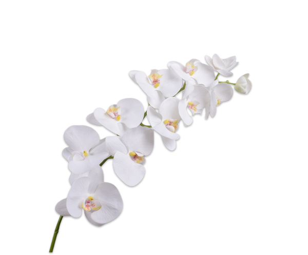 Orchid | Orchidée 110cm RealTouch White