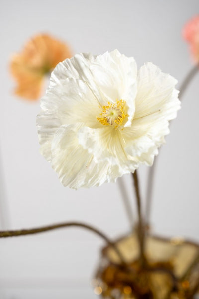 Poppy | Pavot 63cm Cream