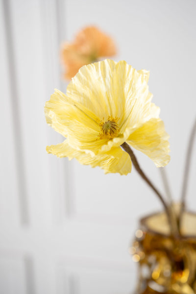 Poppy | Pavot 63cm Yellow