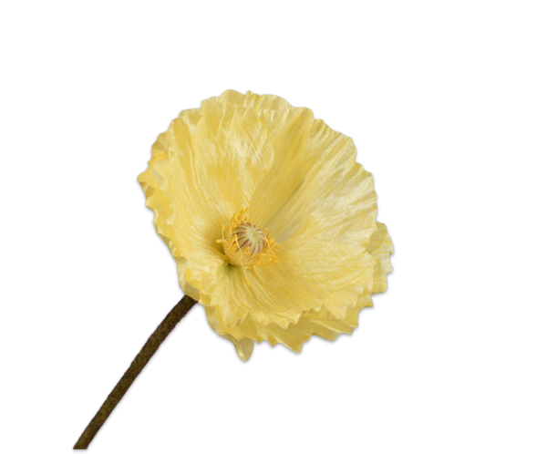 Poppy | Pavot 63cm Yellow