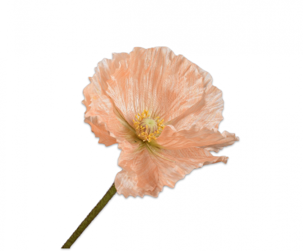 Poppy | Pavot 63cm Peach