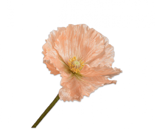 Poppy | Pavot 63cm Peach