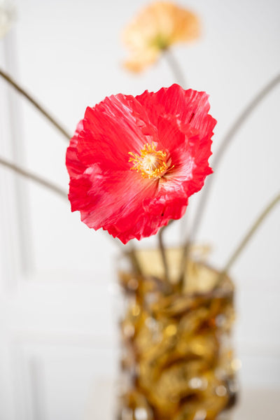 Poppy | Pavot 63cm Beauty