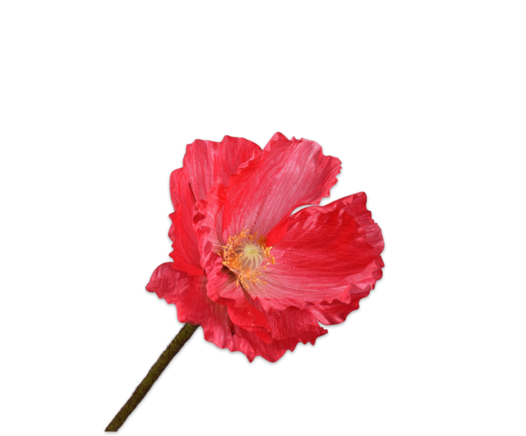Poppy | Pavot 63cm Beauty