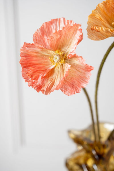 Poppy | Pavot 63cm Salmon