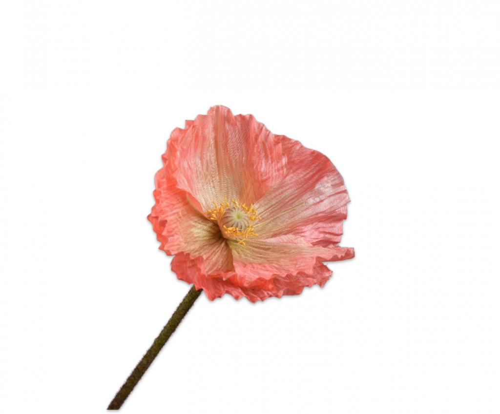 Poppy | Pavot 63cm Salmon
