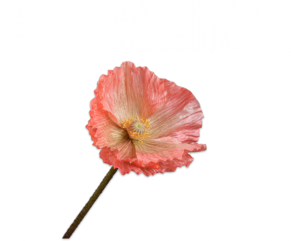 Poppy | Pavot 63cm Salmon