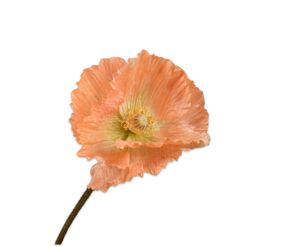 Poppy | Pavot 63cm Orange