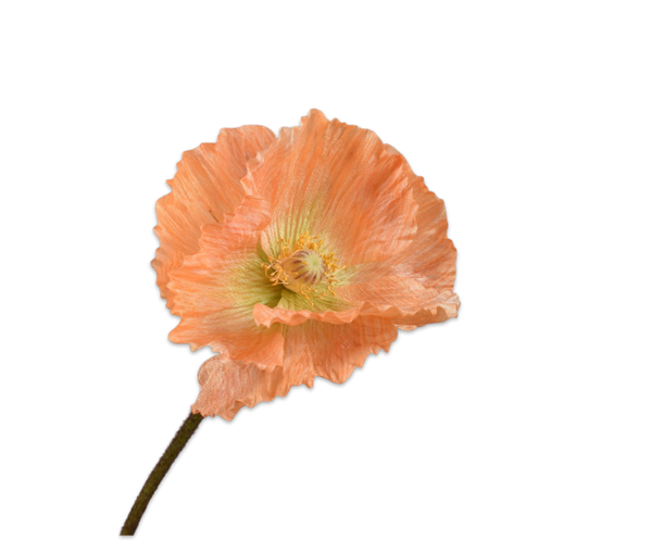 Poppy | Pavot 63cm Orange
