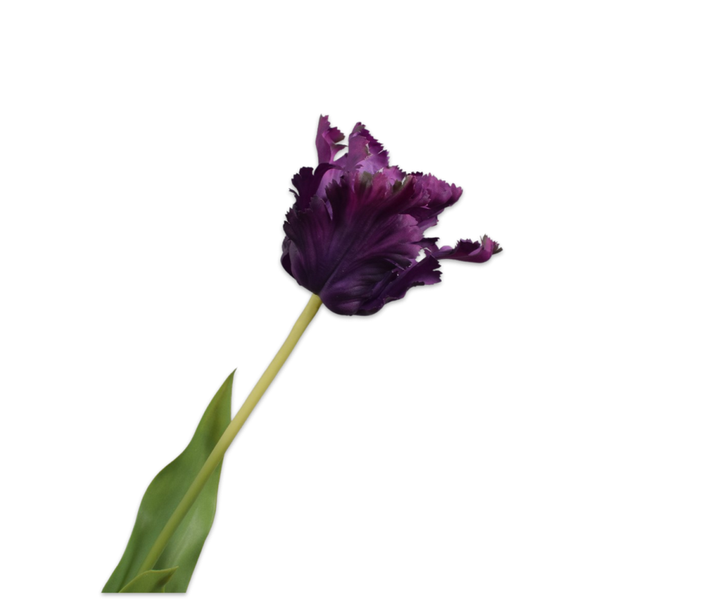 Tulip | Tulipe 71cm RealTouch Purple