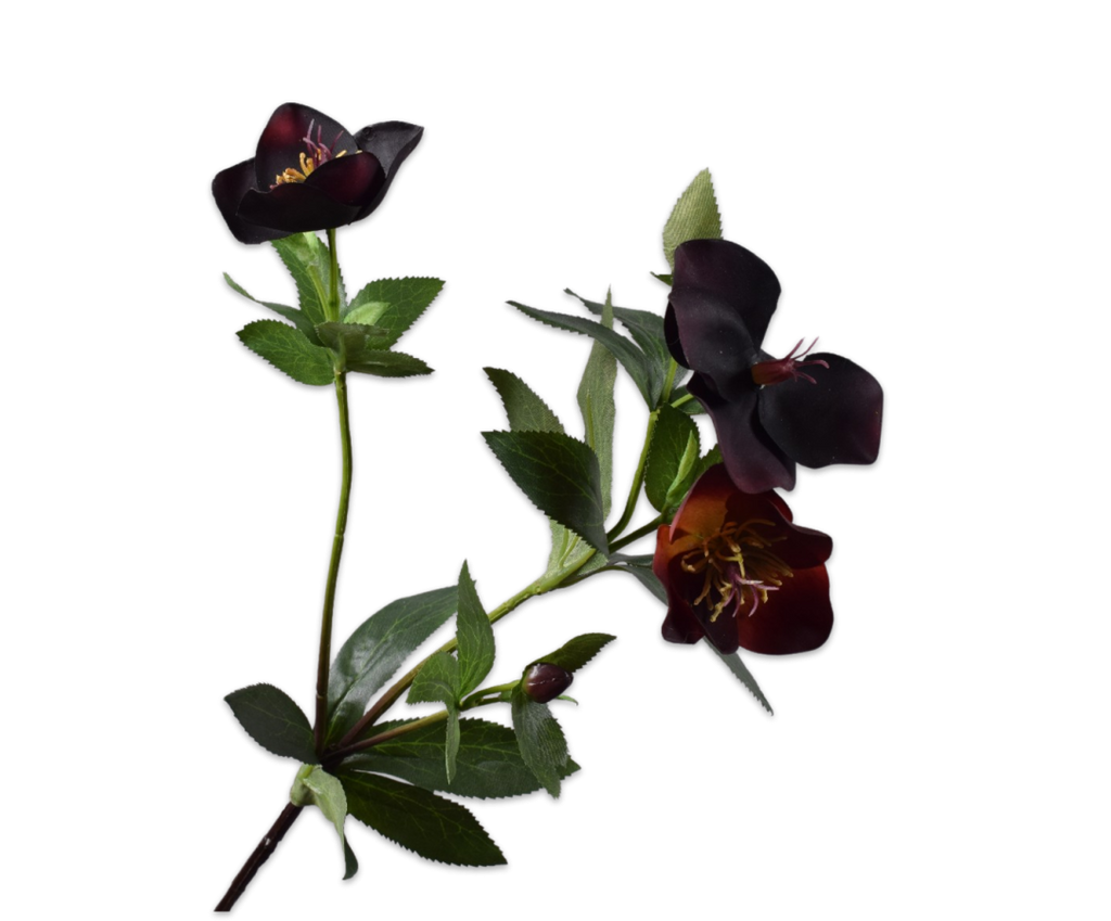 Helleborus 64cm RealTouch Purple