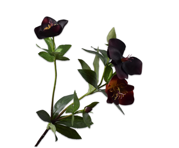 Helleborus 64cm RealTouch Purple