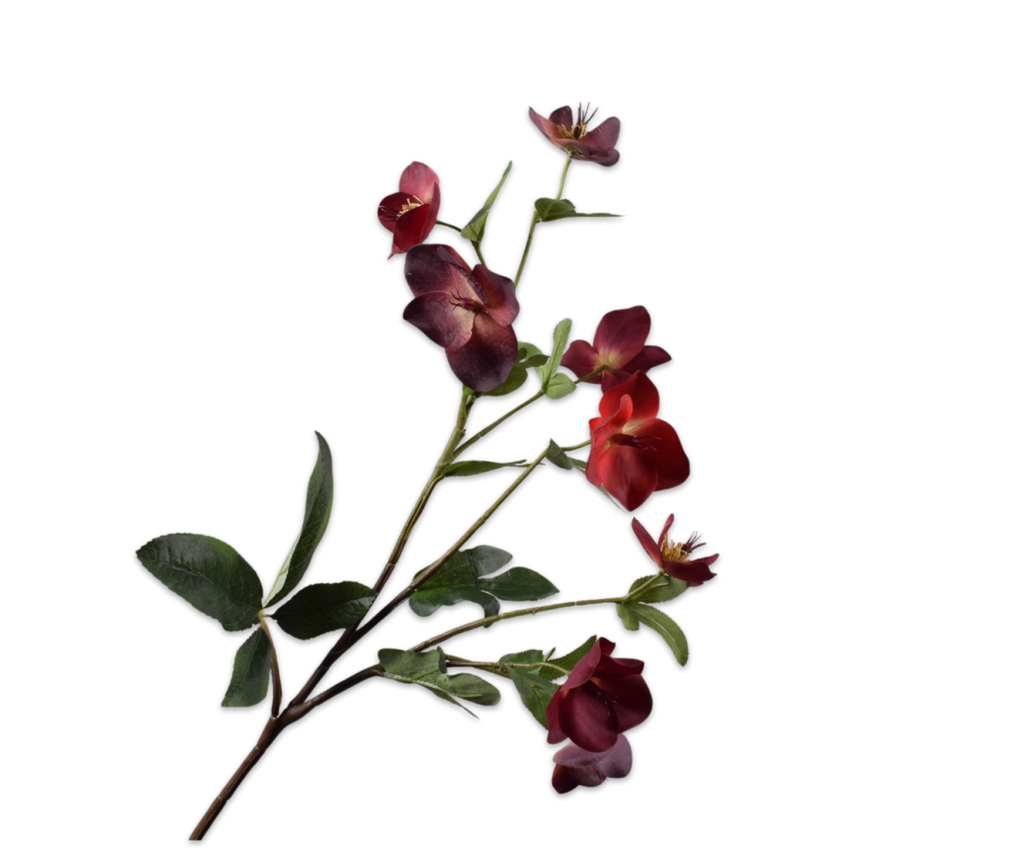 Helleborus 84cm RealTouch Burgundy