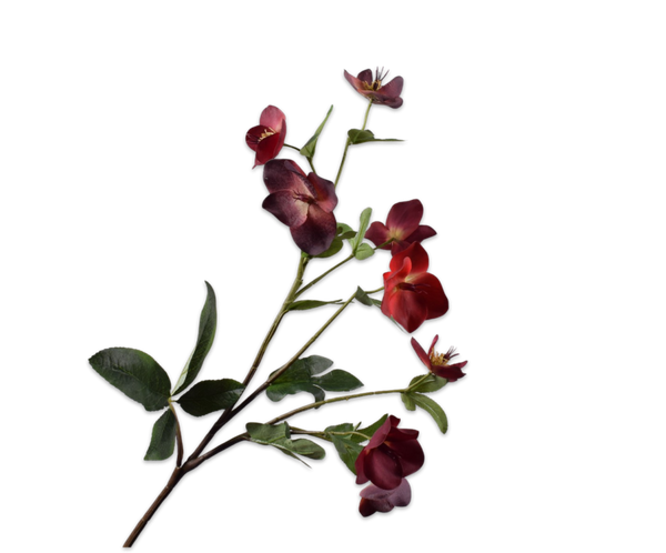 Helleborus 84cm RealTouch Burgundy