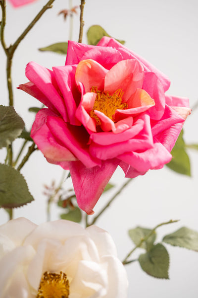 Rose 103cm Fuchsia