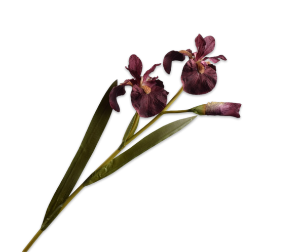 Iris 77cm Burgundy